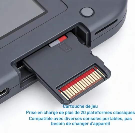 Cartouche de Jeu Multi-Jeux 7840 en 1 pour DS, 3DS et 2DS, Compatible avec GBA, GBC, FC et MD Neo.