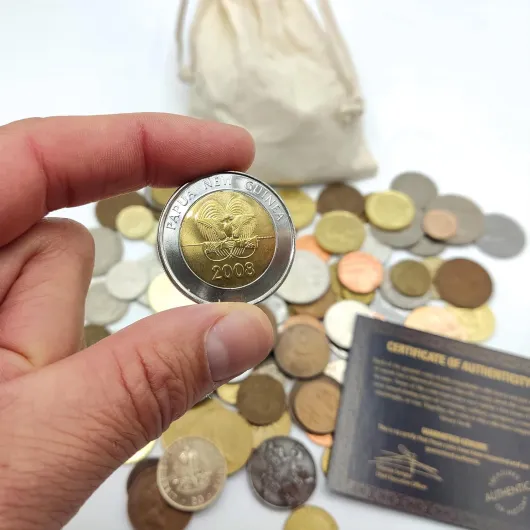 Collection de Monnaies du Monde Authentiques - Pièces Originales de 3 Siècles et 5 Continents sans Répétitions - Certificat d’Authenticité - Cadeau pour Collectionneurs 1 Pound