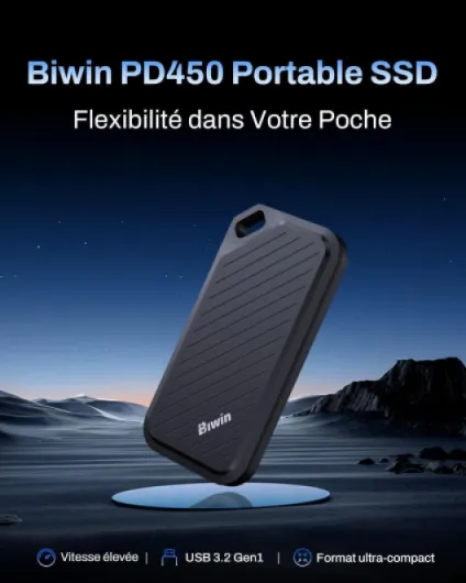 Disque SSD Externe PD450 500 Go - Jusqu'à 430 Mo/s, USB 3.2 Gen 1 Type-C, Disque SSD Portable - Compatible Mac/PC/Android/iPhone/Gaming 500GB